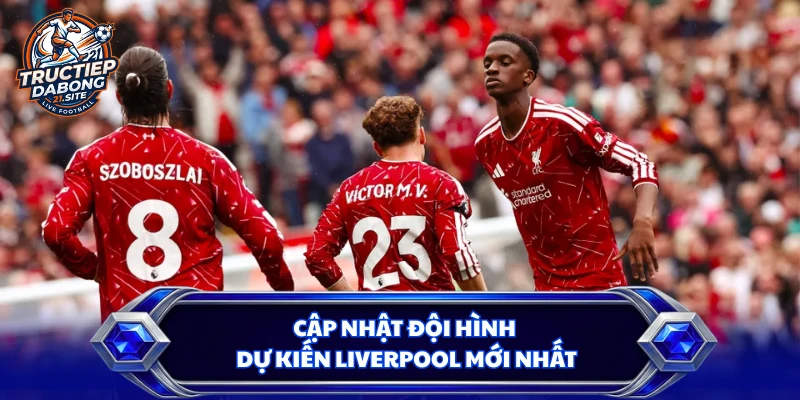 Cập nhật đội hình dự kiến Liverpool mới nhất