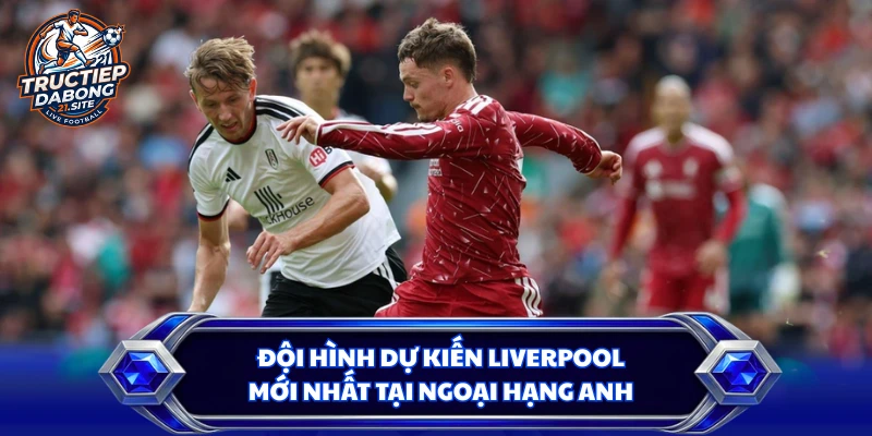 Đội Hình Dự Kiến Liverpool Mới Nhất Tại Ngoại Hạng Anh